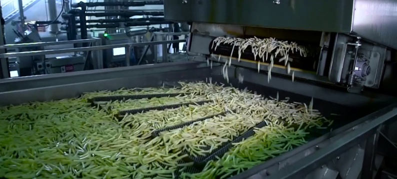 Transport frites production